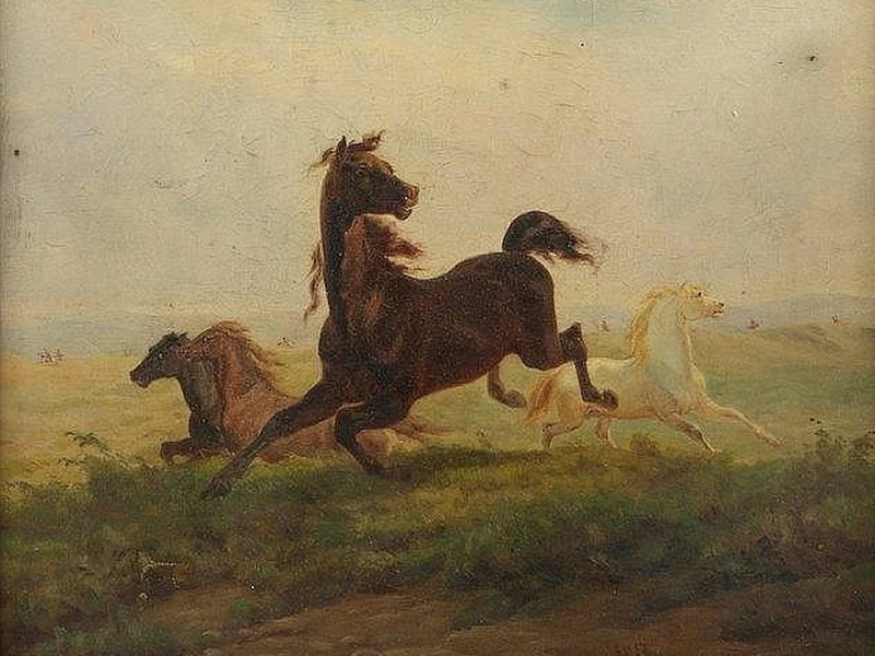 1818-Rudolph Friedrich Kurz - Cavalli selvaggi nel Nebraska